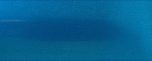 Designer Alumitex Aluminium Blinds, Metallic Sapphire